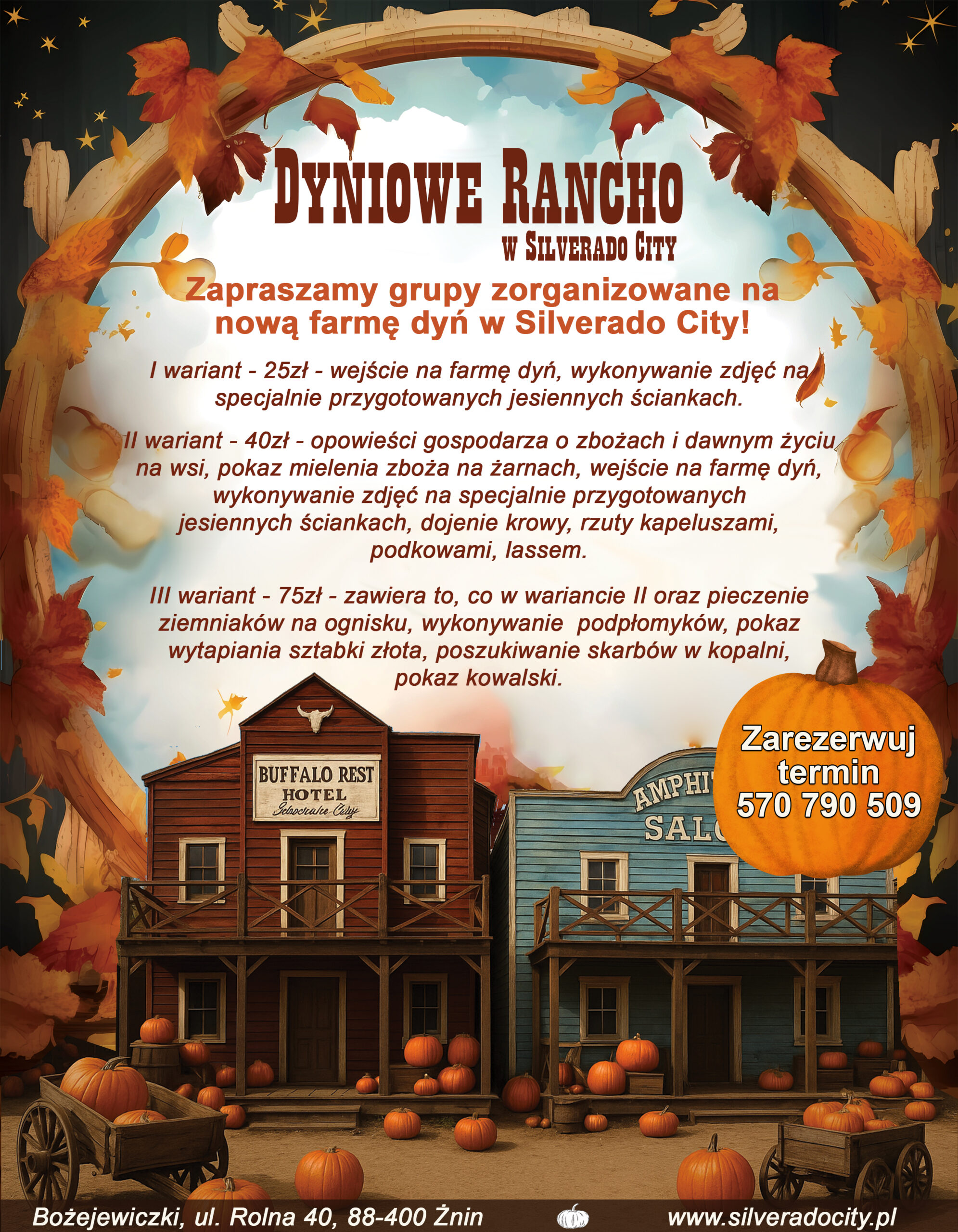 dyniowe rancho grupypng dyniowe rancho grupypng